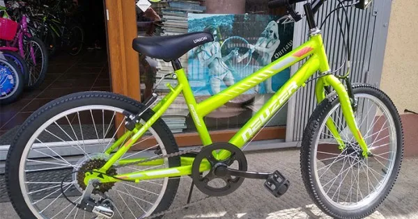 Bicicleta Neuzer Bobby 20 inch 6v Ofertă de sezon